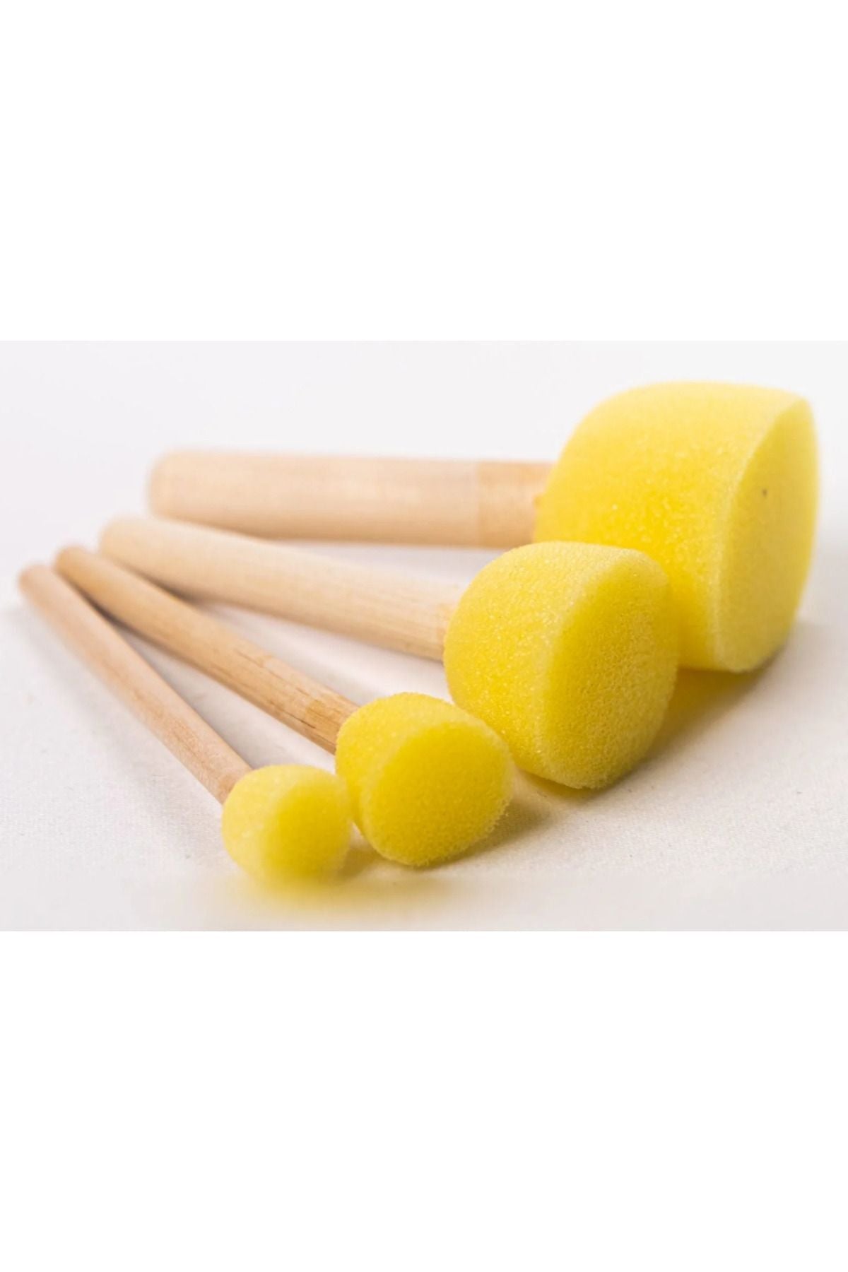 4'lü Tampon Sünger